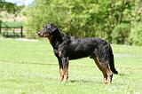 BEAUCERON 824